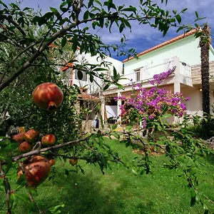 Apartment Maslina Bibinje